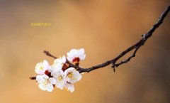 在這春暖花開的季節(jié)，歡迎你們加入知道網(wǎng)絡