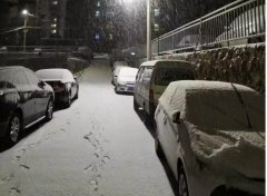 青島！大雪！大愛！