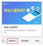 騰訊信用分全國(guó)公測(cè)，查了一下之后懵逼了。。