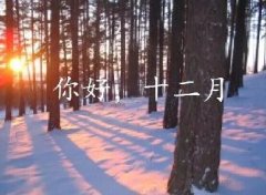 抓住2016年的尾巴給自己充充電！12月，加油！