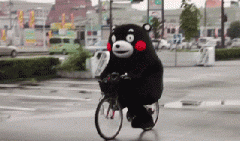 青島也有“共享單車”啦！說(shuō)騎就騎的旅程GO