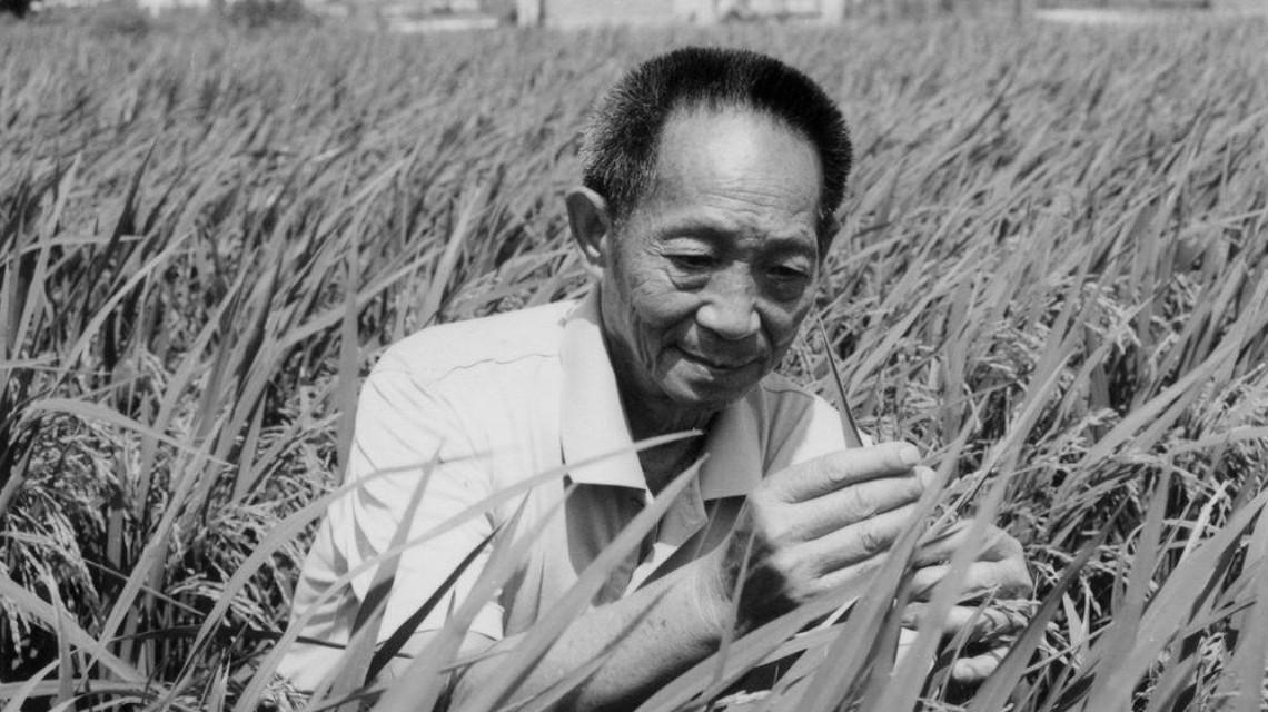沉痛哀悼！袁隆平院士逝世